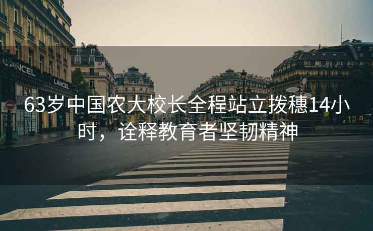 63歲中國農大校長全程站立撥穗14小時，詮釋教育者堅韌精神