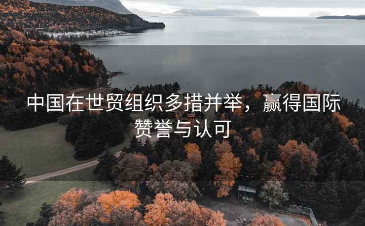 中國在世貿組織多措并舉，贏得國際贊譽與認可