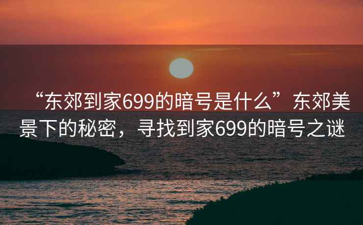 “東郊到家699的暗號是什么”東郊美景下的秘密，尋找到家699的暗號之謎