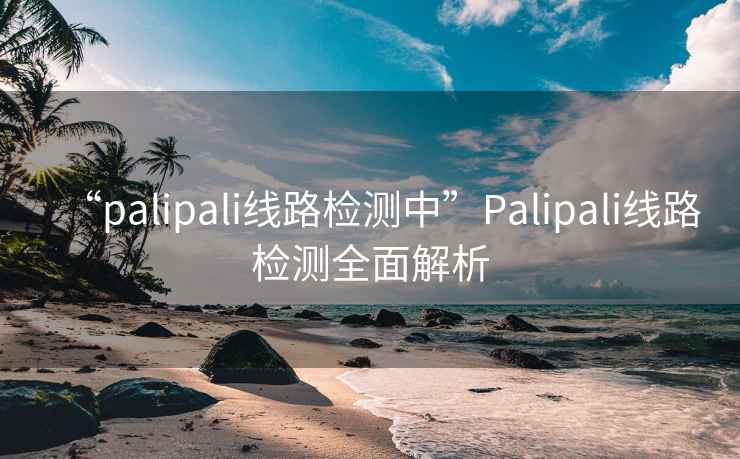 “palipali線路檢測中”Palipali線路檢測全面解析