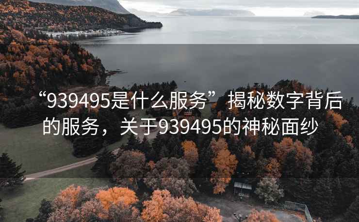 “939495是什么服務”揭秘數字背后的服務，關于939495的神秘面紗