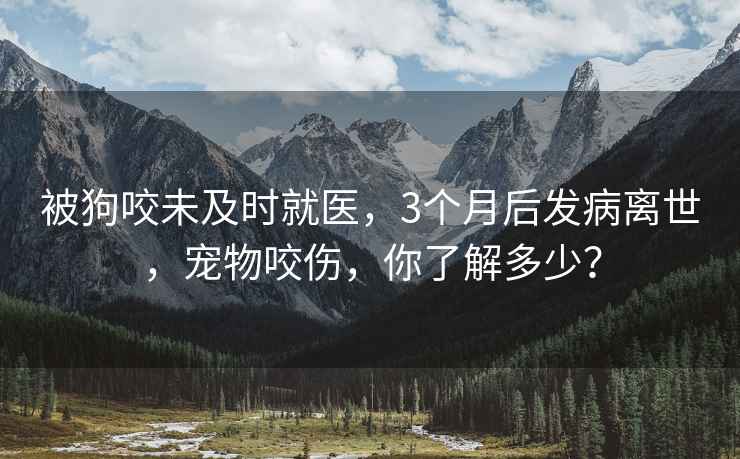 被狗咬未及時就醫，3個月后發病離世，寵物咬傷，你了解多少？