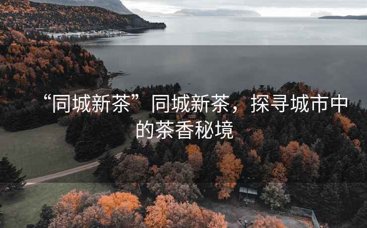 “同城新茶”同城新茶，探尋城市中的茶香秘境