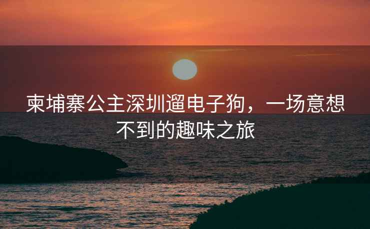 柬埔寨公主深圳遛電子狗，一場意想不到的趣味之旅