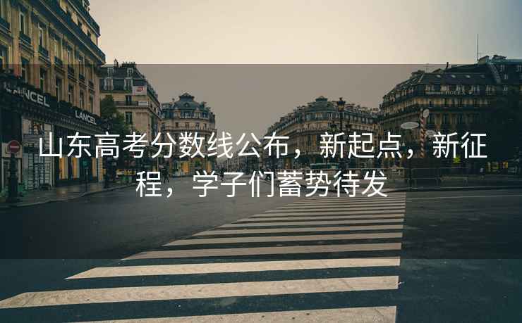 山東高考分數線公布，新起點，新征程，學子們蓄勢待發