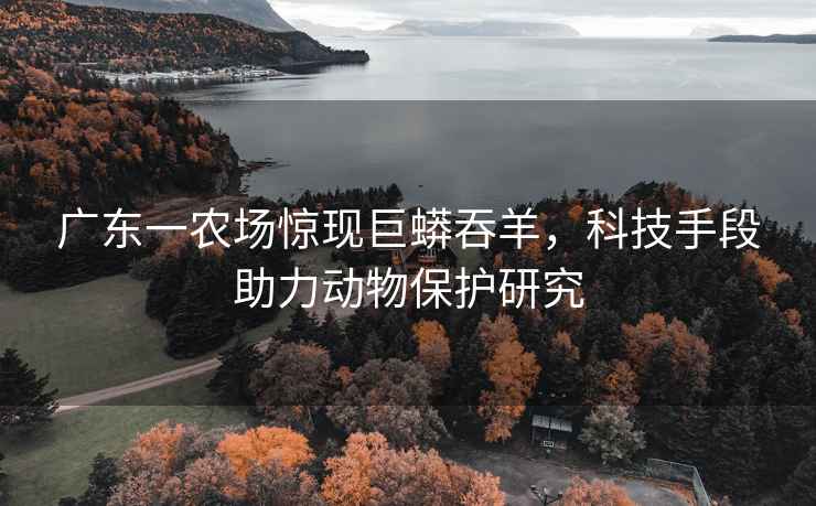 廣東一農場驚現巨蟒吞羊，科技手段助力動物保護研究
