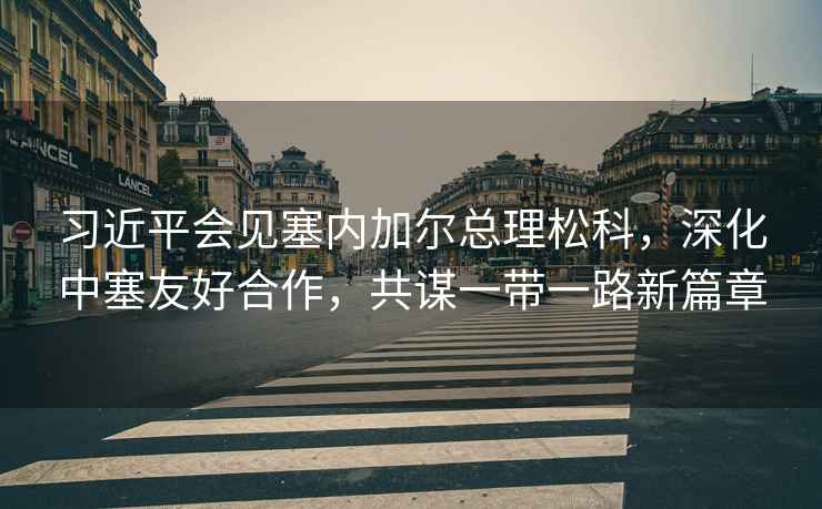 習近平會見塞內加爾總理松科，深化中塞友好合作，共謀一帶一路新篇章
