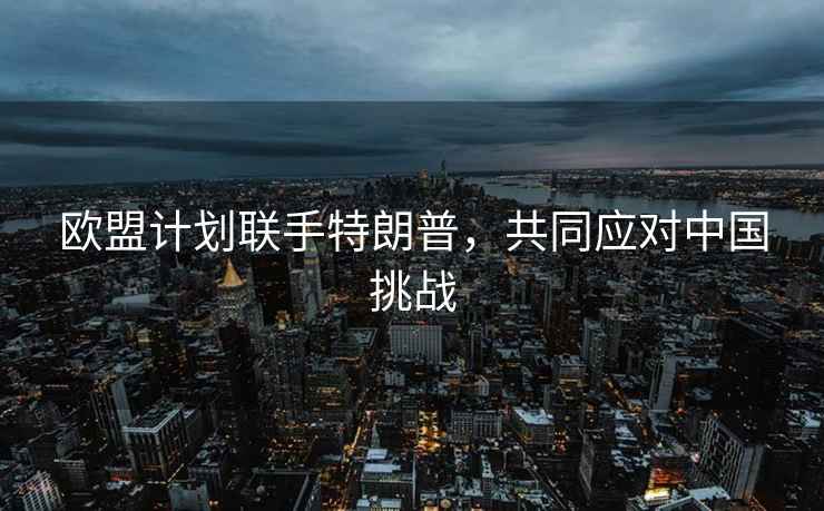 歐盟計劃聯手特朗普，共同應對中國挑戰