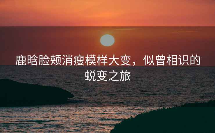 鹿晗臉頰消瘦模樣大變，似曾相識的蛻變之旅