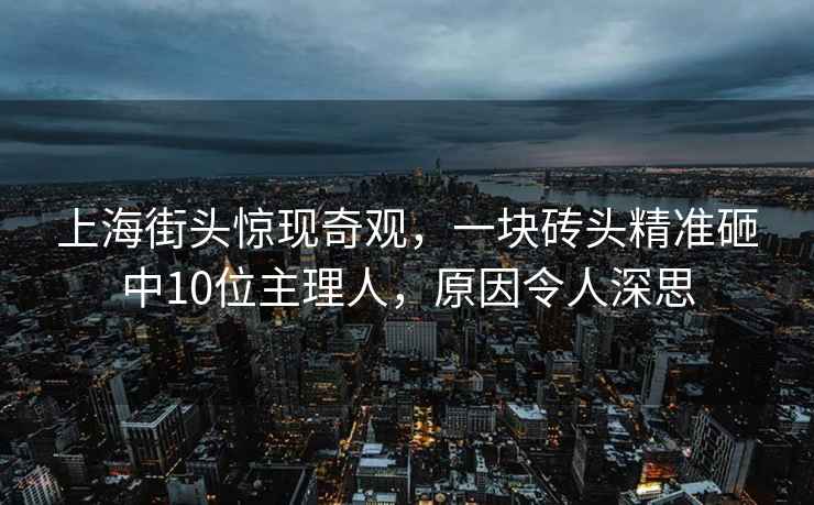 上海街頭驚現奇觀，一塊磚頭精準砸中10位主理人，原因令人深思