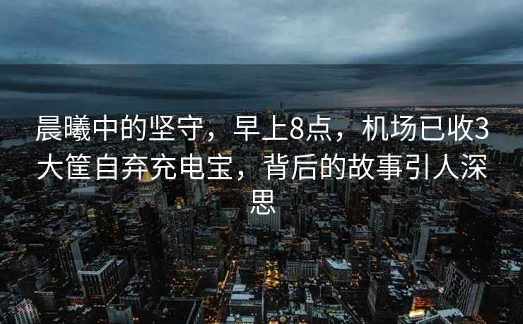 晨曦中的堅守，早上8點，機場已收3大筐自棄充電寶，背后的故事引人深思