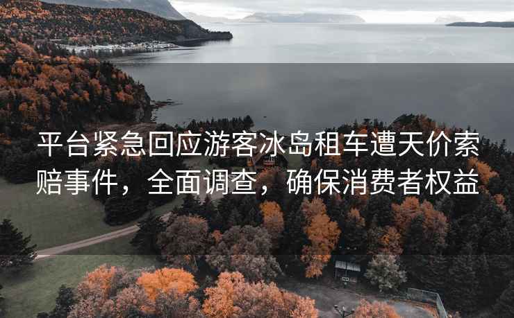 平臺緊急回應游客冰島租車遭天價索賠事件，全面調查，確保消費者權益