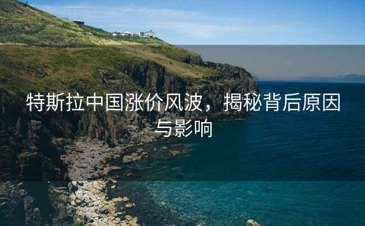 特斯拉中國漲價風波，揭秘背后原因與影響