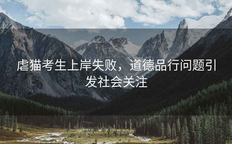 虐貓考生上岸失敗，道德品行問題引發(fā)社會關(guān)注