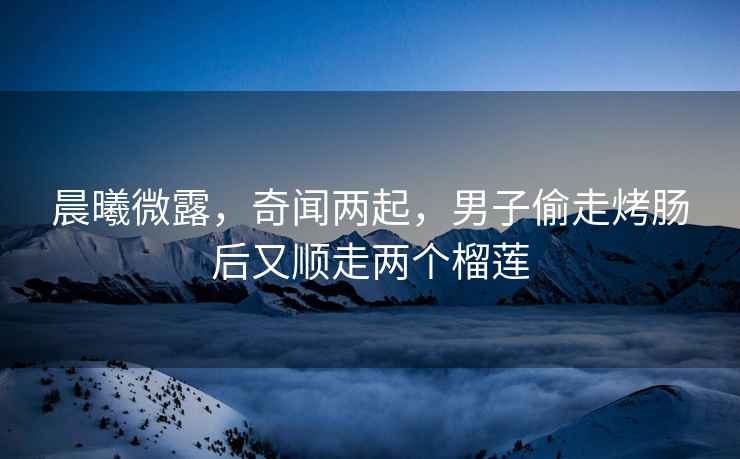 晨曦微露，奇聞兩起，男子偷走烤腸后又順走兩個榴蓮