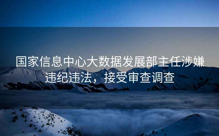 國家信息中心大數據發展部主任涉嫌違紀違法，接受審查調查