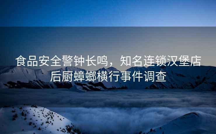 食品安全警鐘長鳴，知名連鎖漢堡店后廚蟑螂橫行事件調查