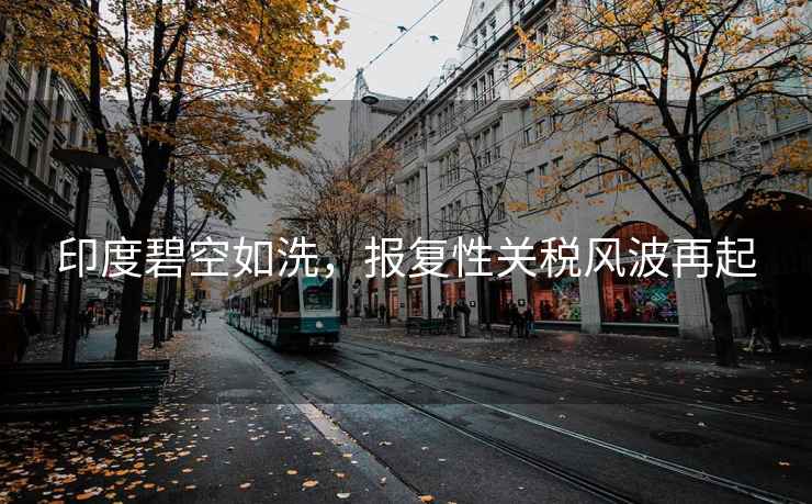 印度碧空如洗，報復性關稅風波再起
