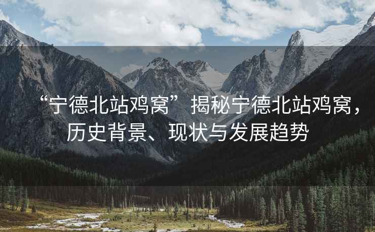 “寧德北站雞窩”揭秘寧德北站雞窩，歷史背景、現狀與發展趨勢
