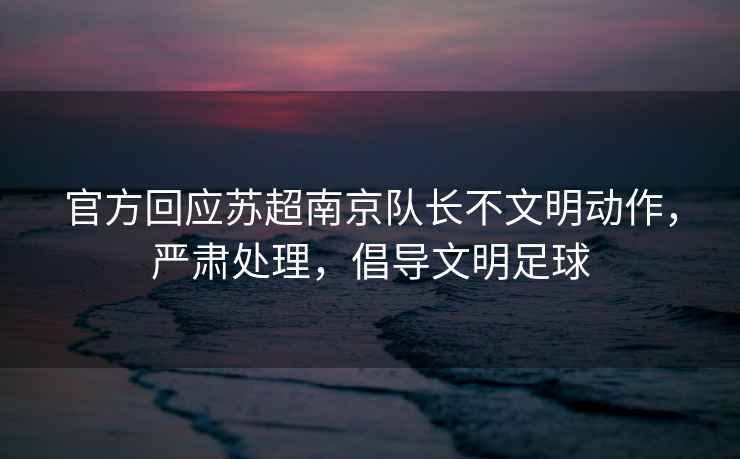 官方回應蘇超南京隊長不文明動作，嚴肅處理，倡導文明足球