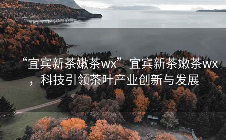 “宜賓新茶嫩茶wx”宜賓新茶嫩茶wx，科技引領茶葉產業創新與發展