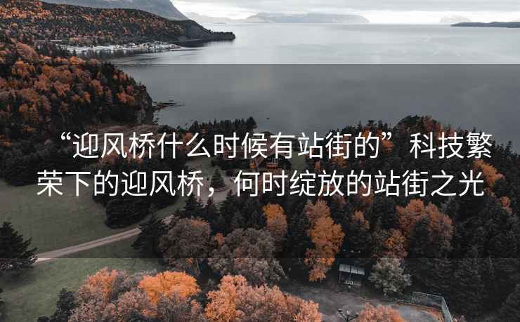 “迎風(fēng)橋什么時(shí)候有站街的”科技繁榮下的迎風(fēng)橋，何時(shí)綻放的站街之光