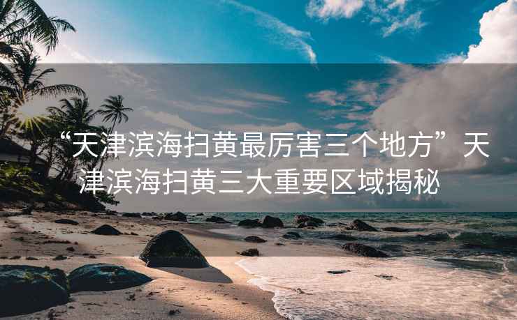 “天津?yàn)I海掃黃最厲害三個地方”天津?yàn)I海掃黃三大重要區(qū)域揭秘