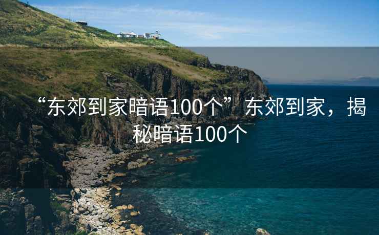 “東郊到家暗語100個”東郊到家，揭秘暗語100個