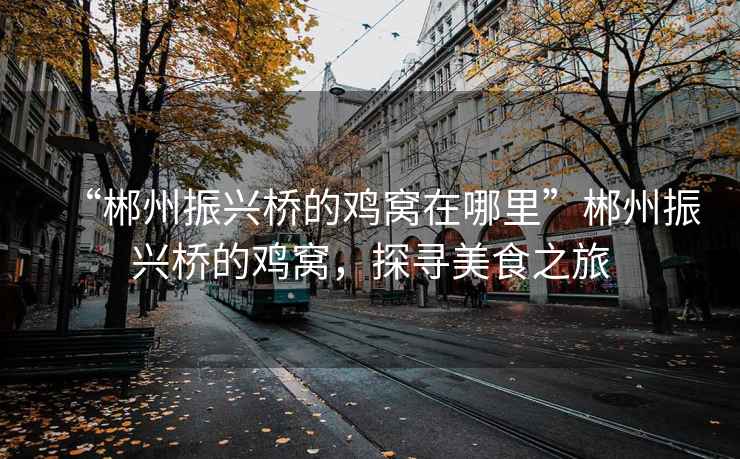 “郴州振興橋的雞窩在哪里”郴州振興橋的雞窩，探尋美食之旅