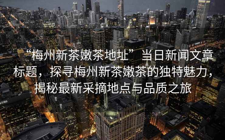 “梅州新茶嫩茶地址”當日新聞文章標題，探尋梅州新茶嫩茶的獨特魅力，揭秘最新采摘地點與品質(zhì)之旅