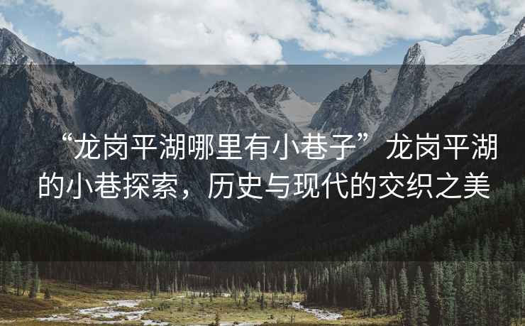“龍崗平湖哪里有小巷子”龍崗平湖的小巷探索，歷史與現代的交織之美