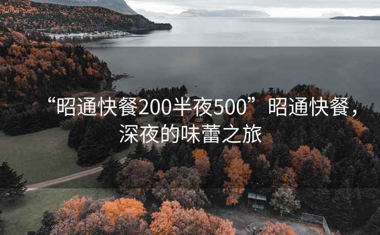 “昭通快餐200半夜500”昭通快餐，深夜的味蕾之旅