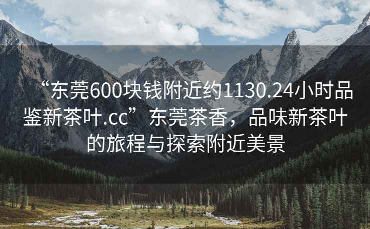 “東莞600塊錢附近約1130.24小時品鑒新茶葉.cc”東莞茶香，品味新茶葉的旅程與探索附近美景