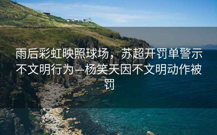 雨后彩虹映照球場，蘇超開罰單警示不文明行為—楊笑天因不文明動作被罰