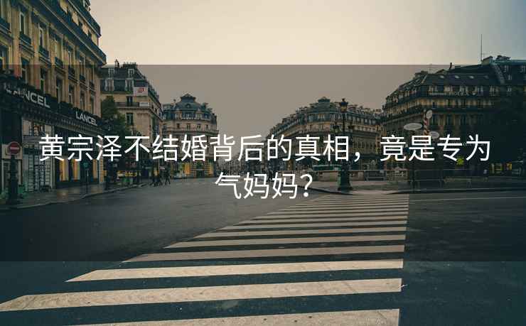 黃宗澤不結婚背后的真相，竟是專為氣媽媽？