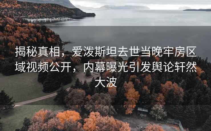 揭秘真相，愛潑斯坦去世當晚牢房區域視頻公開，內幕曝光引發輿論軒然大波