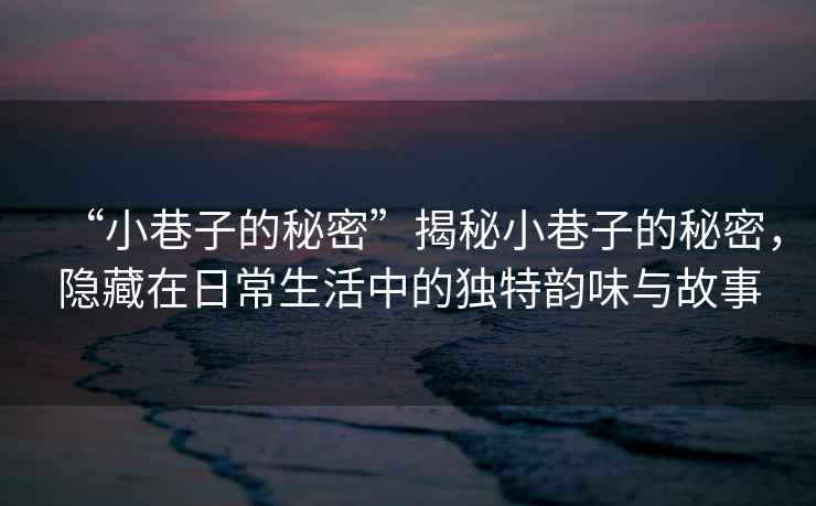 “小巷子的秘密”揭秘小巷子的秘密，隱藏在日常生活中的獨特韻味與故事