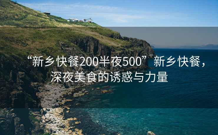 “新鄉快餐200半夜500”新鄉快餐，深夜美食的誘惑與力量