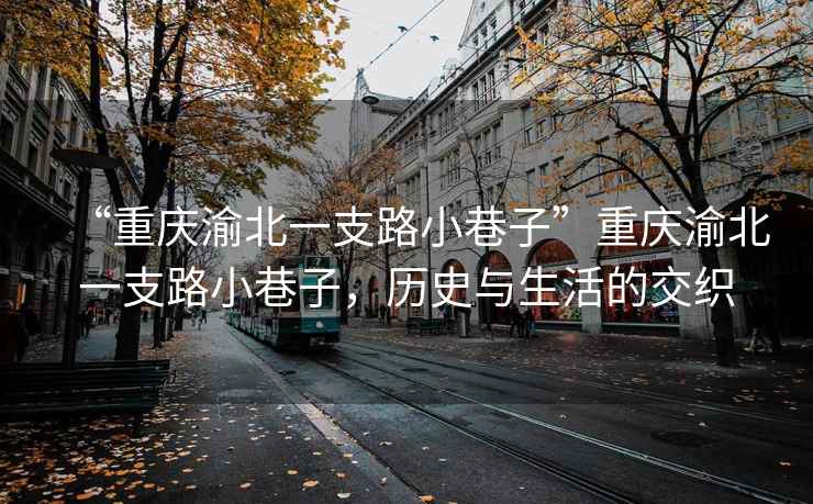 “重慶渝北一支路小巷子”重慶渝北一支路小巷子，歷史與生活的交織