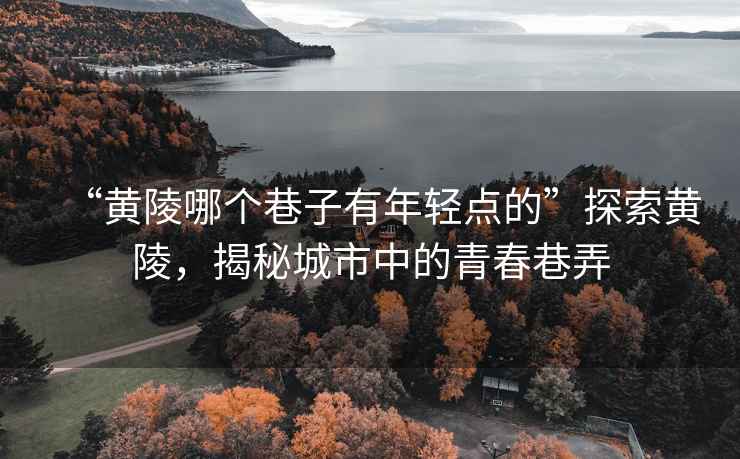 “黃陵哪個巷子有年輕點的”探索黃陵，揭秘城市中的青春巷弄