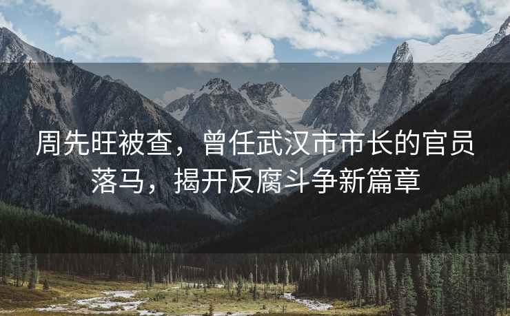 周先旺被查，曾任武漢市市長的官員落馬，揭開反腐斗爭新篇章