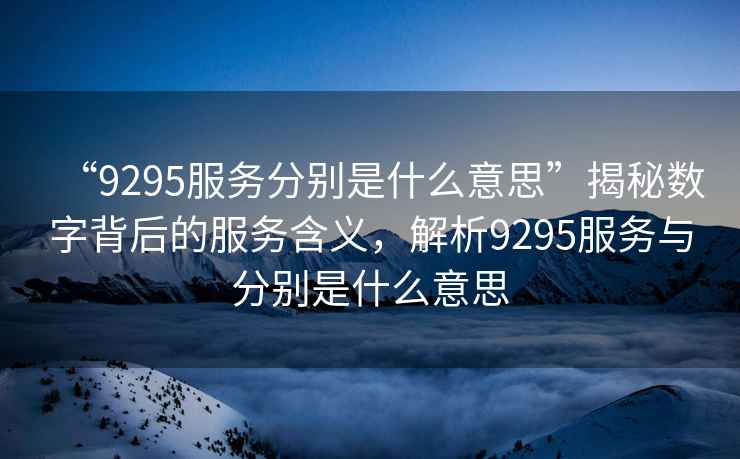 “9295服務分別是什么意思”揭秘數字背后的服務含義，解析9295服務與分別是什么意思