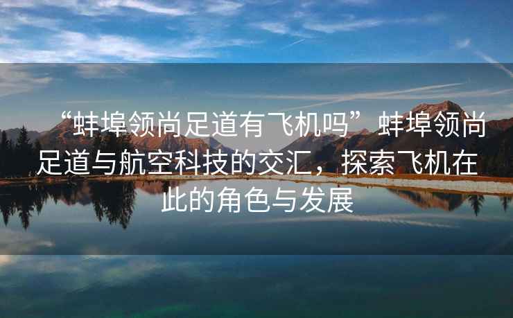 “蚌埠領尚足道有飛機嗎”蚌埠領尚足道與航空科技的交匯，探索飛機在此的角色與發展