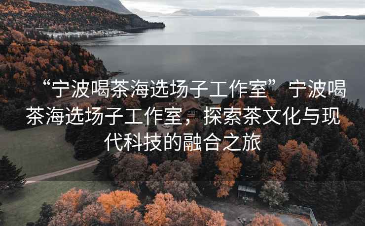 “寧波喝茶海選場子工作室”寧波喝茶海選場子工作室，探索茶文化與現代科技的融合之旅