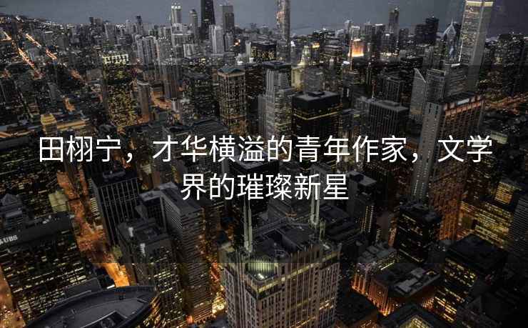 田栩?qū)帲湃A橫溢的青年作家，文學(xué)界的璀璨新星