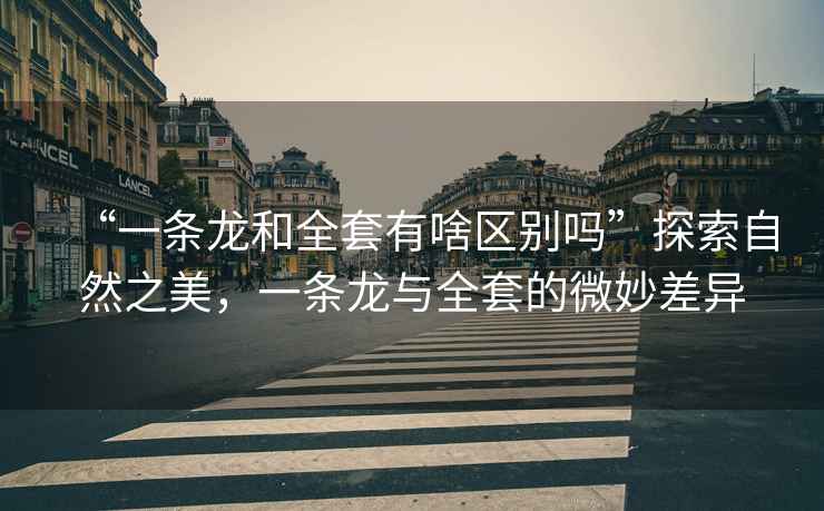 “一條龍和全套有啥區別嗎”探索自然之美，一條龍與全套的微妙差異