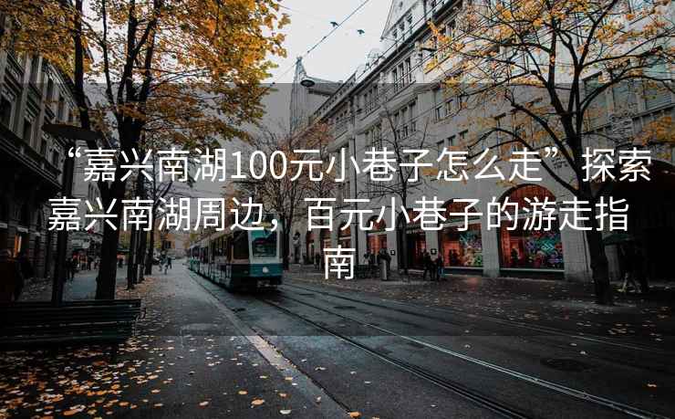 “嘉興南湖100元小巷子怎么走”探索嘉興南湖周邊，百元小巷子的游走指南