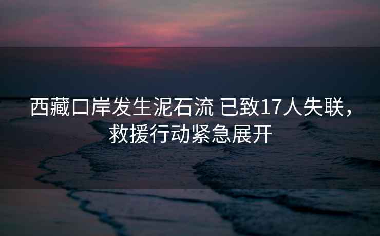 西藏口岸發生泥石流 已致17人失聯，救援行動緊急展開