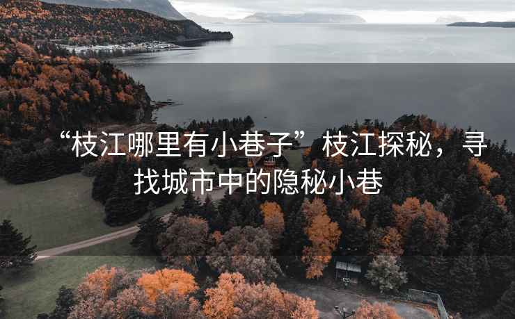 “枝江哪里有小巷子”枝江探秘，尋找城市中的隱秘小巷