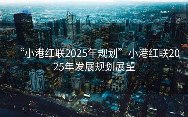 “小港紅聯2025年規劃”小港紅聯2025年發展規劃展望